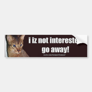 Autocollant De Voiture LOLCat 3 Bumpersticker