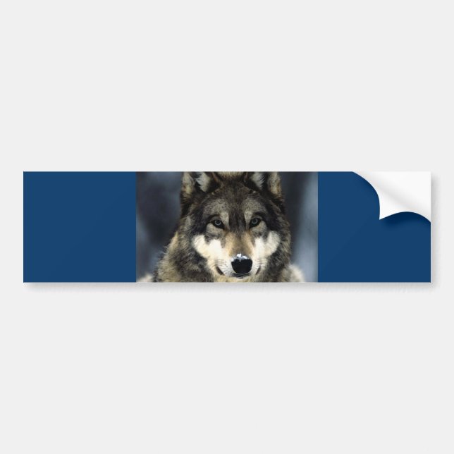 Autocollant De Voiture Loup (Devant)
