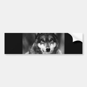 Autocollant De Voiture Loup noir et blanc