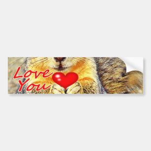 Autocollant De Voiture Love You_