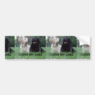 Autocollant De Voiture LR I Love My Labs avec photo