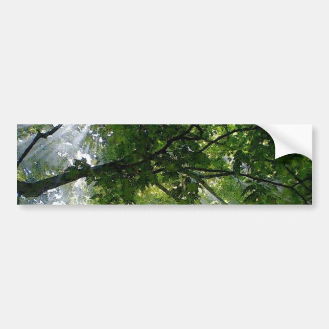 Autocollant De Voiture Lumière Solaire À Travers Les Arbres (Devant)