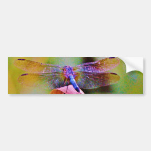 Autocollant De Voiture Lumineux Arc-en-ciel rose