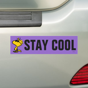Autocollant De Voiture Lunettes de soleil Cool Woodstock