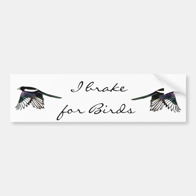 Autocollant De Voiture Magpie - Aquarelle Oiseau (Devant)