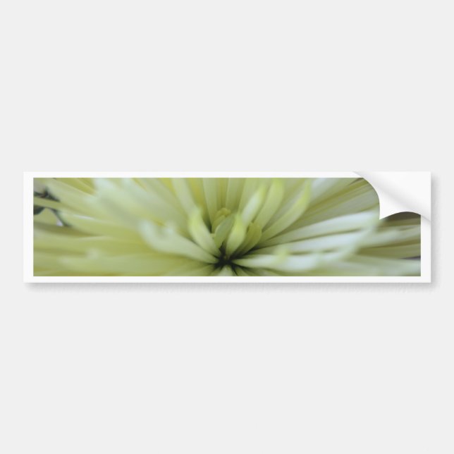 Autocollant De Voiture Mai Fleurs #3 (Devant)