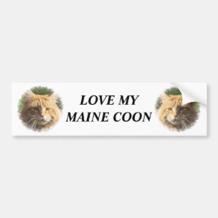 Autocollant De Voiture maine coon