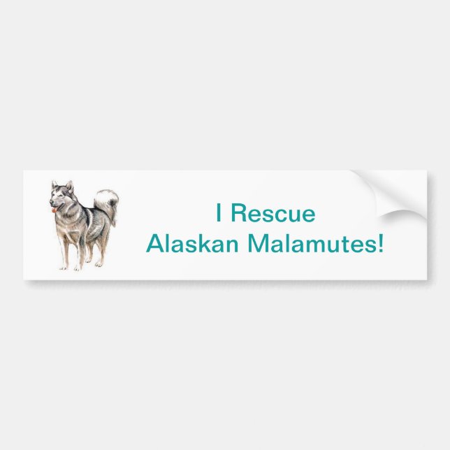 Autocollant De Voiture Malamute d'Alaska (Devant)