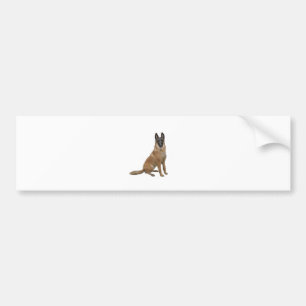 Autocollant De Voiture Malinois belge (A)