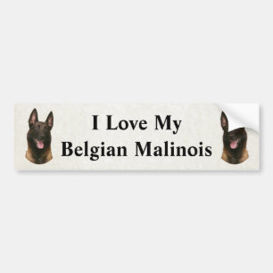 Autocollant De Voiture malinois belges
