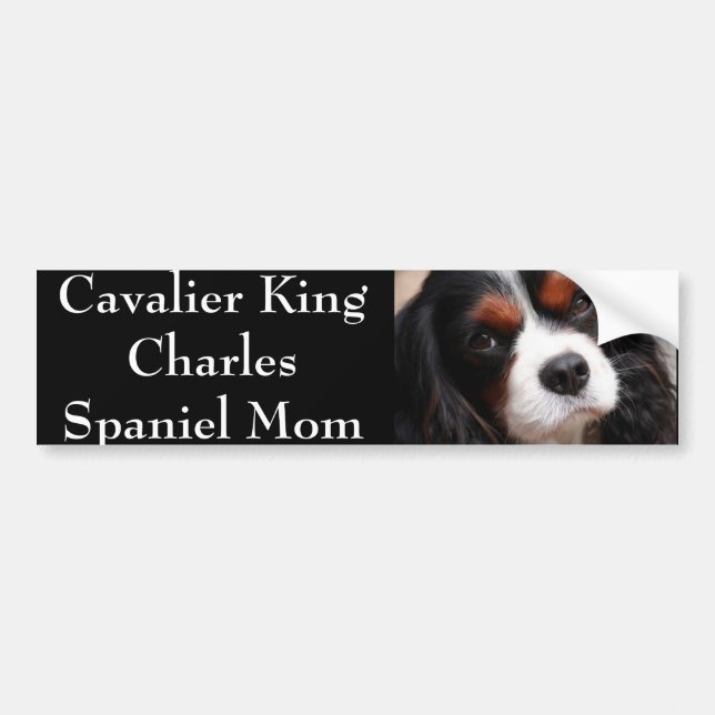 Autocollant De Voiture Maman cavalière d'épagneul du Roi Charles (Devant)