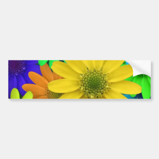 Autocollant De Voiture Marguerites colorées multi