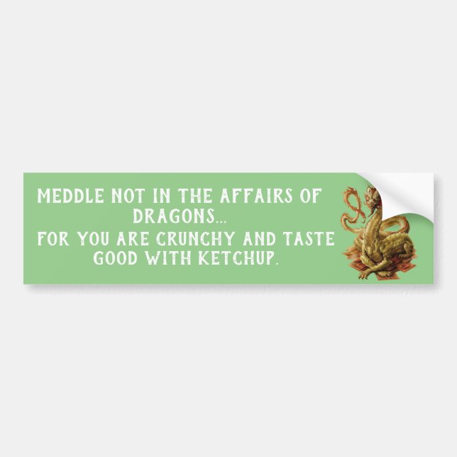 Autocollant De Voiture Meddle Pas Dans Les Affaires Des Dragons (Devant)
