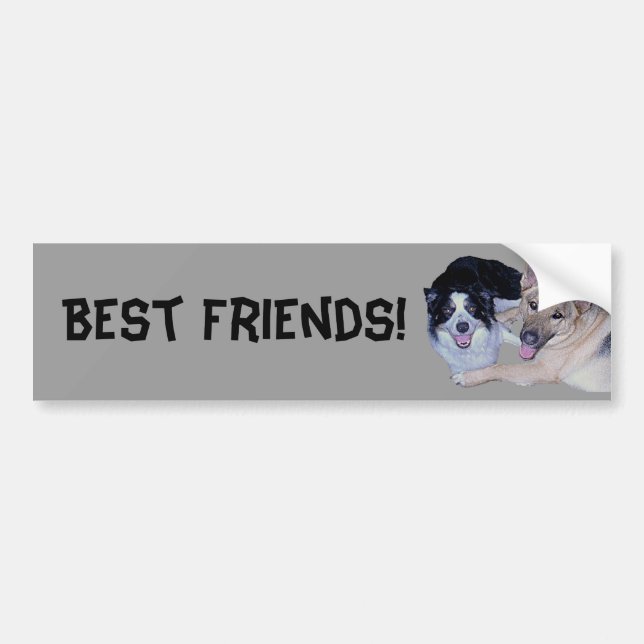 Autocollant De Voiture Meilleurs amis Bordure Collie & Berger allemand (Devant)