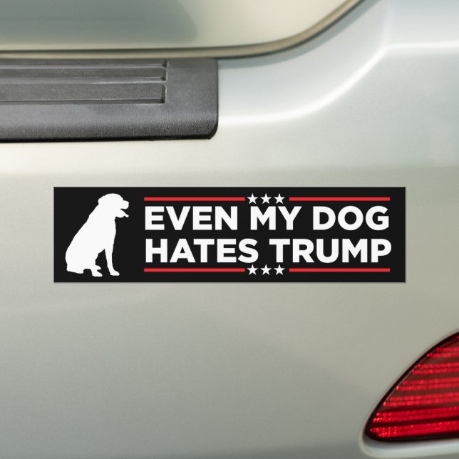 Autocollant De Voiture Même mon chien déteste Trump (En voiture)