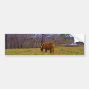 Autocollant De Voiture Miniature brun cheval bleu ciel
