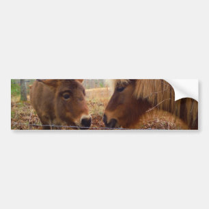 Autocollant De Voiture Miniature Donkey & Horse Valentine Heart