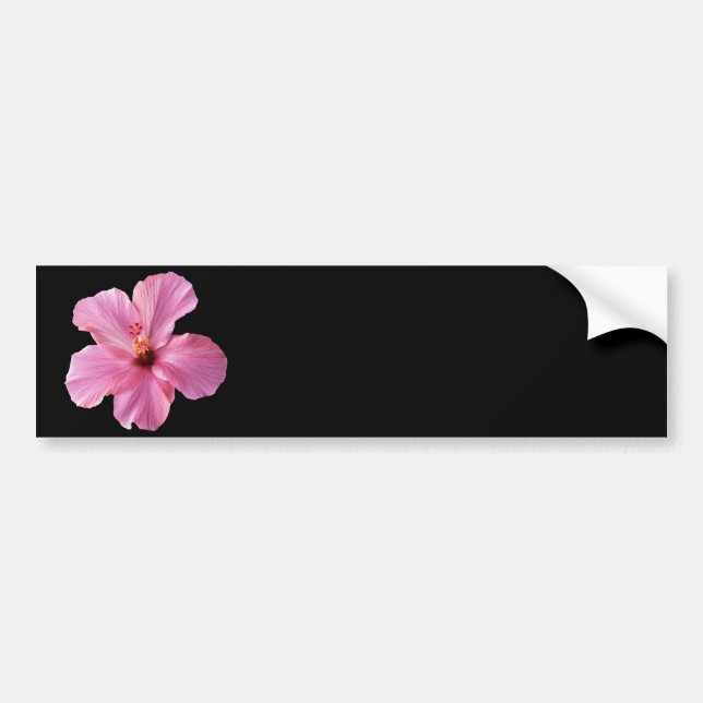 Autocollant De Voiture Modèle customisé par fleur rose d'Hawaï de ketmie (Devant)
