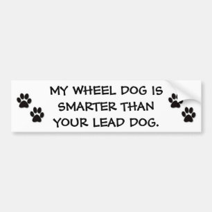 AUTOCOLLANT DE VOITURE MON CHIEN DE ROUE EST PLUS FUTÉ QUE VOTRE CHIEN