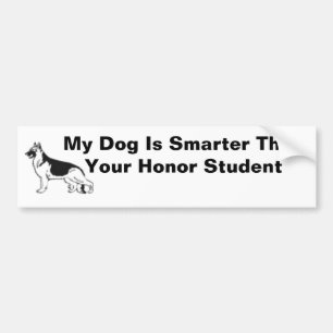 Autocollant De Voiture Mon chien est plus futé que votre étudiant