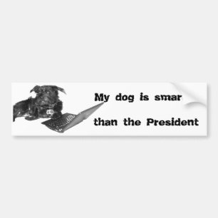 Autocollant De Voiture Mon chien est plus intelligent que le président