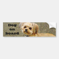 Mon Copain_