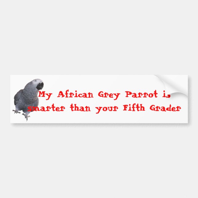 Autocollant De Voiture Mon perroquet de gris africain… (Devant)