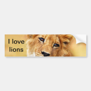 Autocollant De Voiture Mon visage mignon de lion