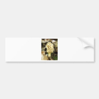Autocollant De Voiture Morelle solitaire