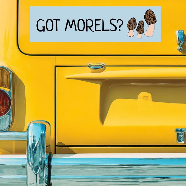 Autocollant De Voiture Morels Champignons Fun Fungi PERSONNALISER IT (GOT Morels Funny Pun Mushrooms Fun Fungi CUSTOMIZE IT Bumper Sticker
)