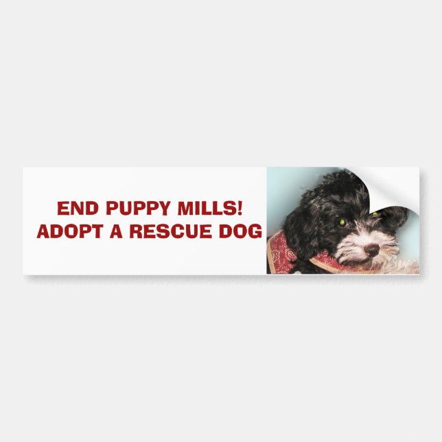 AUTOCOLLANT DE VOITURE MOULINS DE CHIOT D'EXTRÉMITÉ !  ADOPTEZ UNE (Devant)