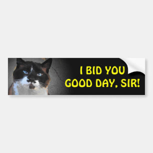 Autocollant De Voiture Moustache Chat Vous Offre Bonjour, Monsieur