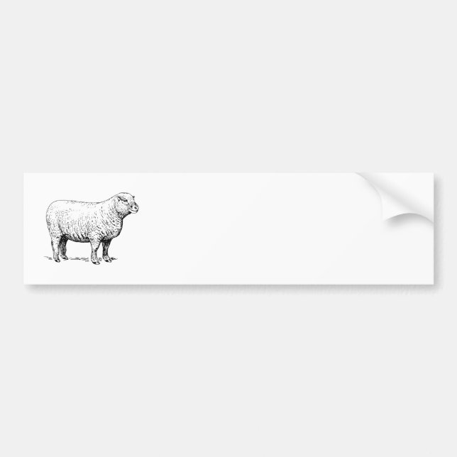Autocollant De Voiture Moutons (Devant)