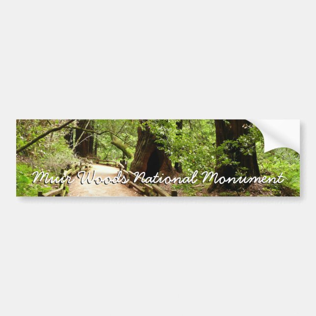 Autocollant De Voiture Muir Woods Path II Nature Photography (Devant)