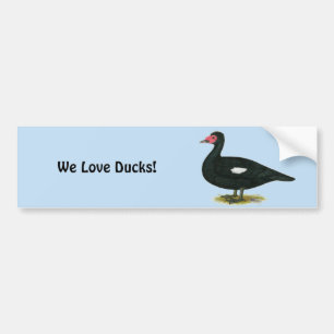 Autocollant De Voiture Muscovy Black Drake