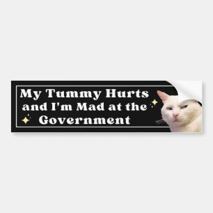 Autocollant De Voiture My Tummy Hurts and I'm Mad at the Government Funny