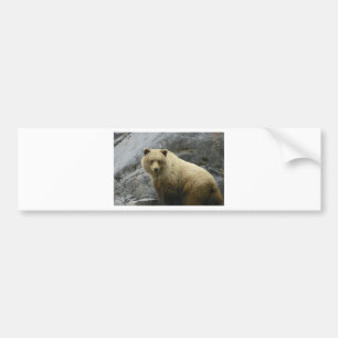 Autocollant De Voiture Nature de destin d'animaux de l'Alaska d'ours