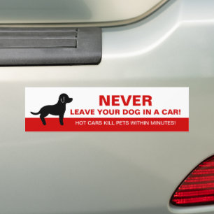Autocollant De Voiture Ne Laissez Jamais Votre Chien Dans Une Voiture Ave