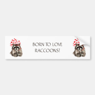 AUTOCOLLANT DE VOITURE NÉ POUR AIMER RACCOONS FUNNY ANIMAL QUOTE