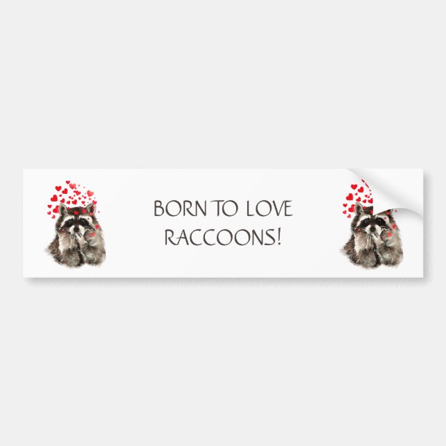 AUTOCOLLANT DE VOITURE NÉ POUR AIMER RACCOONS FUNNY ANIMAL QUOTE (Devant)