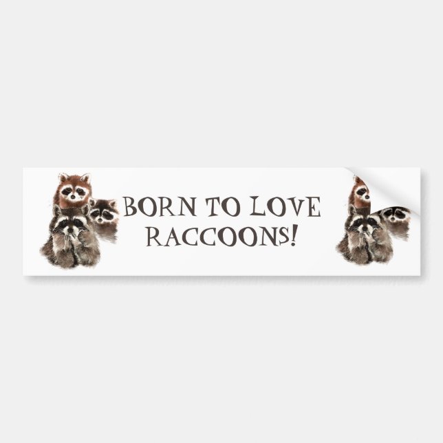AUTOCOLLANT DE VOITURE NÉ POUR AIMER RACCOONS FUNNY ANIMAL QUOTE (Devant)