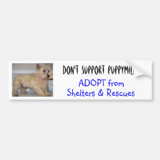 Autocollant De Voiture Ne soutenez pas Puppymills -- Est en désordre