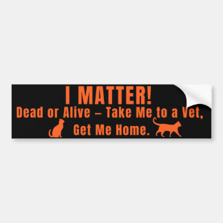 Autocollant De Voiture Neon Orange "I Matter" Bumper Sticker