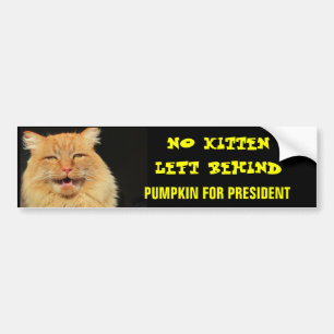 Autocollant De Voiture No Kitten Laissé Derrière Le Citrouille Du Préside