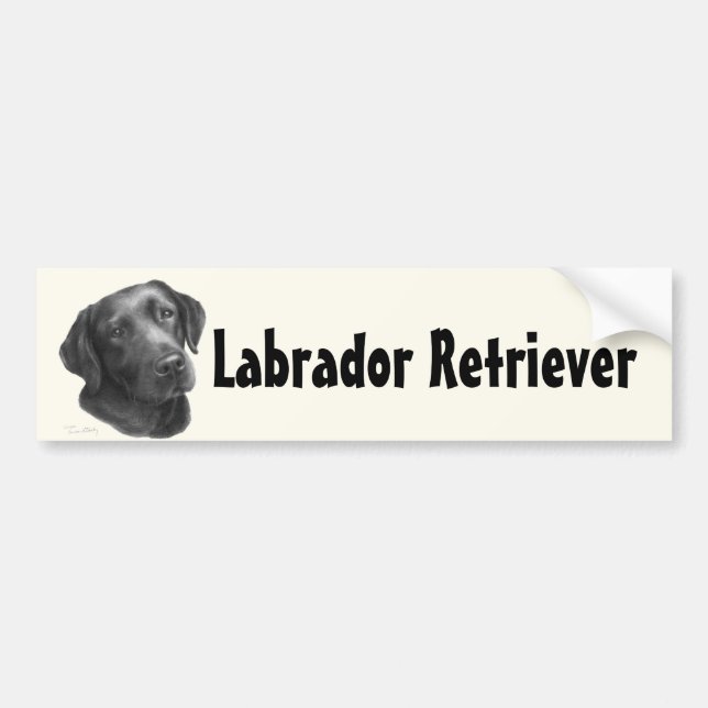 Autocollant De Voiture Noir/chocolat labrador retriever (Devant)