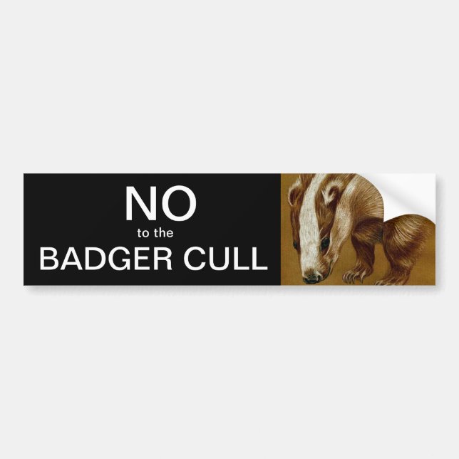 Autocollant De Voiture Non à l'autocollant de pare-chocs Badger Cull (Devant)