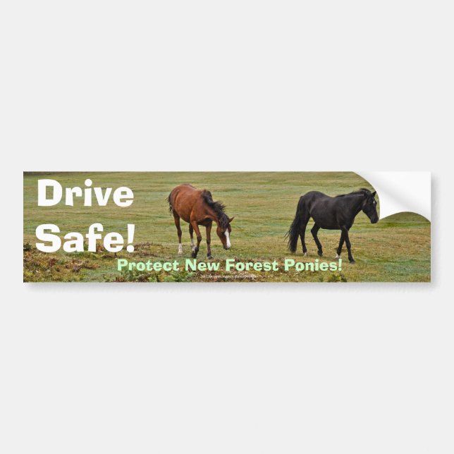 Autocollant De Voiture Nouveaux Ponies Forestières de Hampshire Angleterr (Devant)
