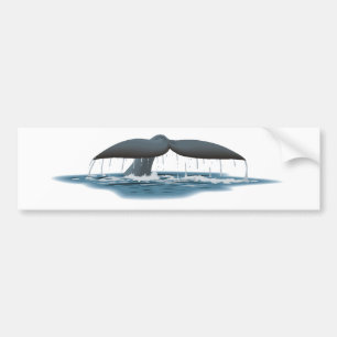 Autocollant De Voiture Observateur de baleine