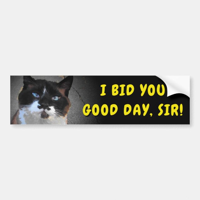 Autocollant De Voiture Offres de chat de moustache vous beau jour, (Devant)