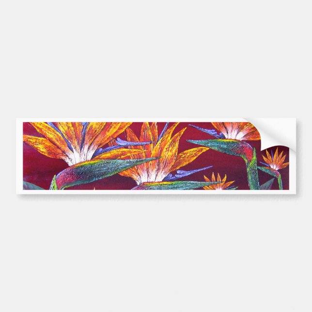 Autocollant De Voiture Oiseaux de la fleur tropicale de paradis - multi (Devant)